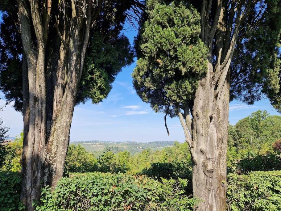 Lovely One-Bedroom Attic In An Ancient Village Bologna Bagian luar foto